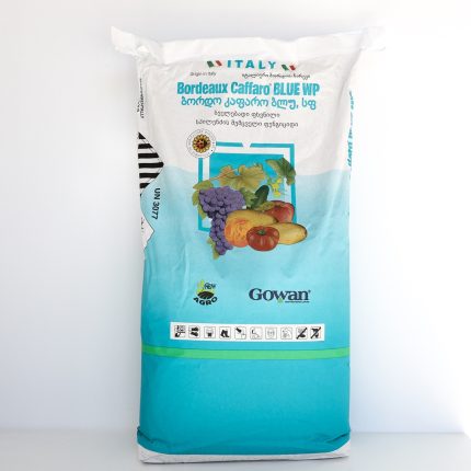 ბორდო კაფარო ბლუ, სფ / Bordeaux Caffaro Blue, WP