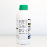 სელესტ ტოპი 312,5 სკ / Celest Top 312,5 FS