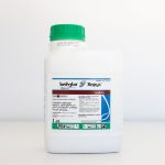 ხორუსი, წდგრ / Chorus 75 WG