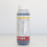 დინგო ეკ / Dingo EC