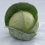 ფაბიოლა F1