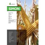 Simon F1