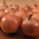 ბრატკო F1 / BRATKO F1