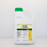 ელუმისი, ზდ / Elumis, OD