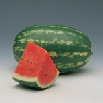 ფარაო F1 / FARAO F1