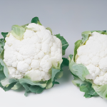 ლეკანუ F1 / Lecanu F1