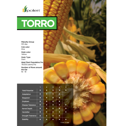 Torro F1
