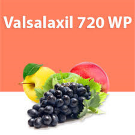 ვალსალაქსილი, სფ / Valsalaxyl WP